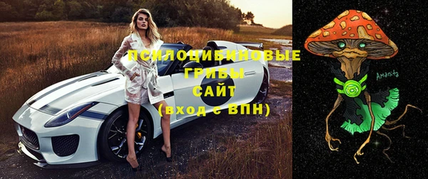 дмт Верея