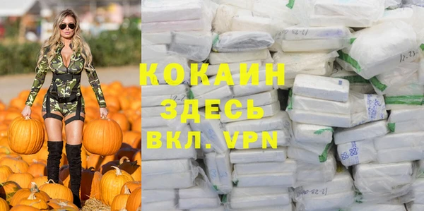 дмт Верея