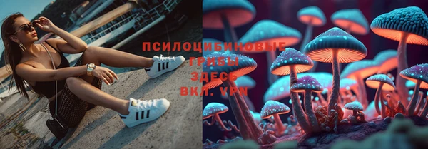 молекула духа Верхний Тагил