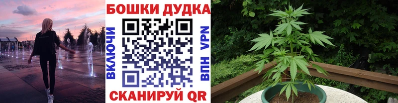 Бошки марихуана MAZAR Нижний Тагил